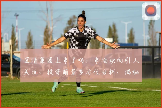 国清集团上市了吗，市场动向引人关注，投资前景多方位分析，揭秘上市真相三问