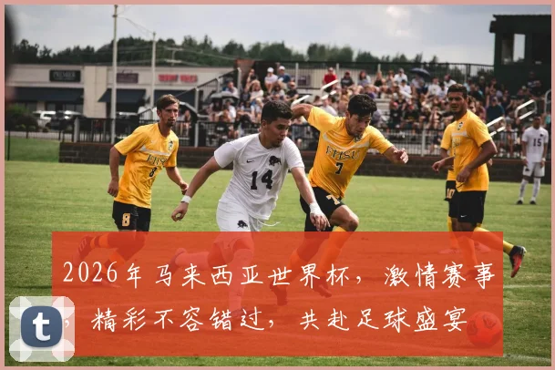 2026年马来西亚世界杯，激情赛事，精彩不容错过，共赴足球盛宴