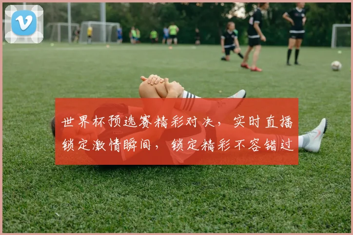 世界杯预选赛精彩对决，实时直播锁定激情瞬间，锁定精彩不容错过，敬请关注