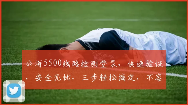 公海5500线路检测登录，快速验证，安全无忧，三步轻松搞定，不容错过